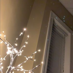 Meet your Posher, Abigail